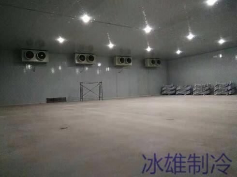 冷庫設(shè)備如何重要，改如何正確的維修呢？